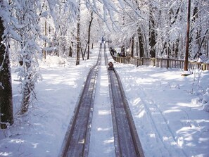 Un camí cobert de neu flanquejat per arbres, que condueix a un punt llunyà.
