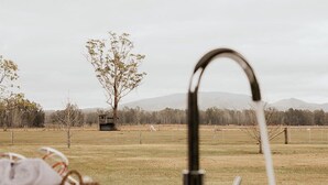 A view of a grassy field with a tree and a small building in the distance.
