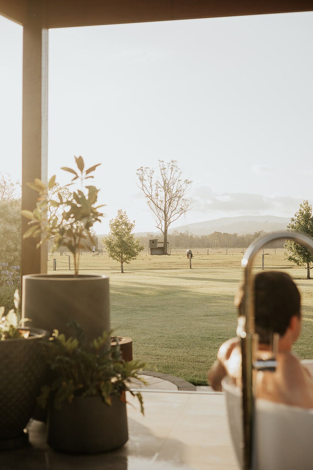A person in a bathroom with a view of a grassy field and a tree.