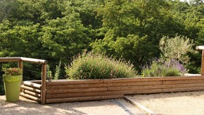 A wooden fence with a planter box on the left and a variety of plants in the background.