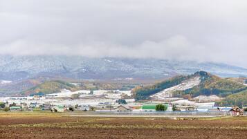 A rural landscape with fields, a few buildings, and a mountain in the background.