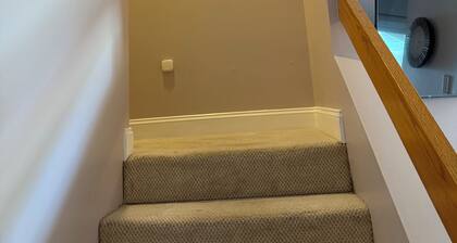 3-bedroom townhome in Primary Cambridge location. Walking to MIT and Red line.
