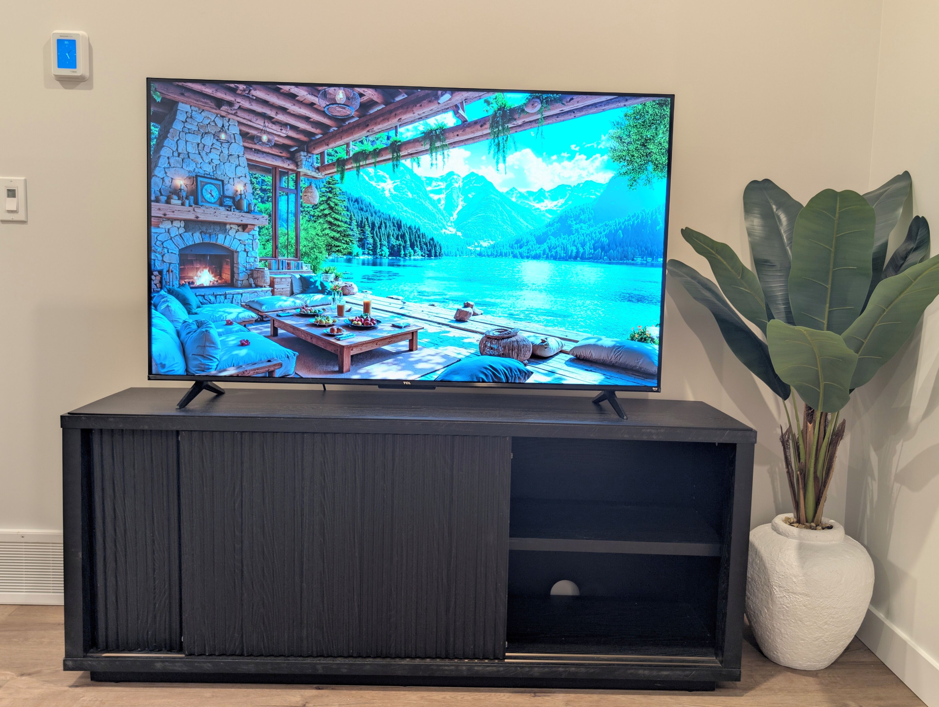 A flat-screen TV on a dark wooden TV stand with a large plant beside it.