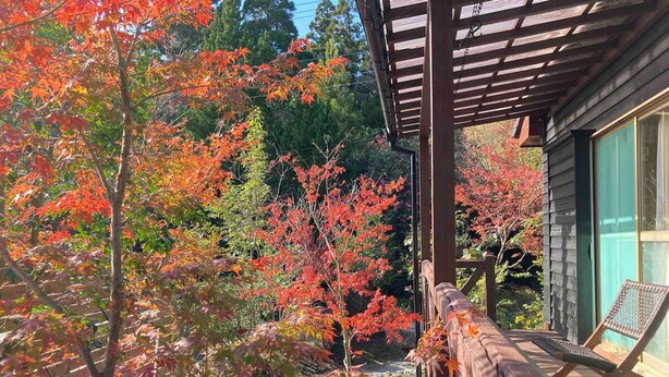 A wooden deck with a railing, a chair, and a view of a garden with autumn foliage.
