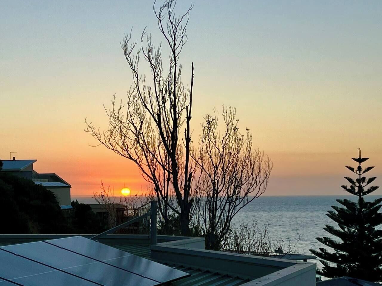 Ein Sonnenuntergangsblick vom Dach mit kahl stehenden Bäumen und weiter Wasserfläche.