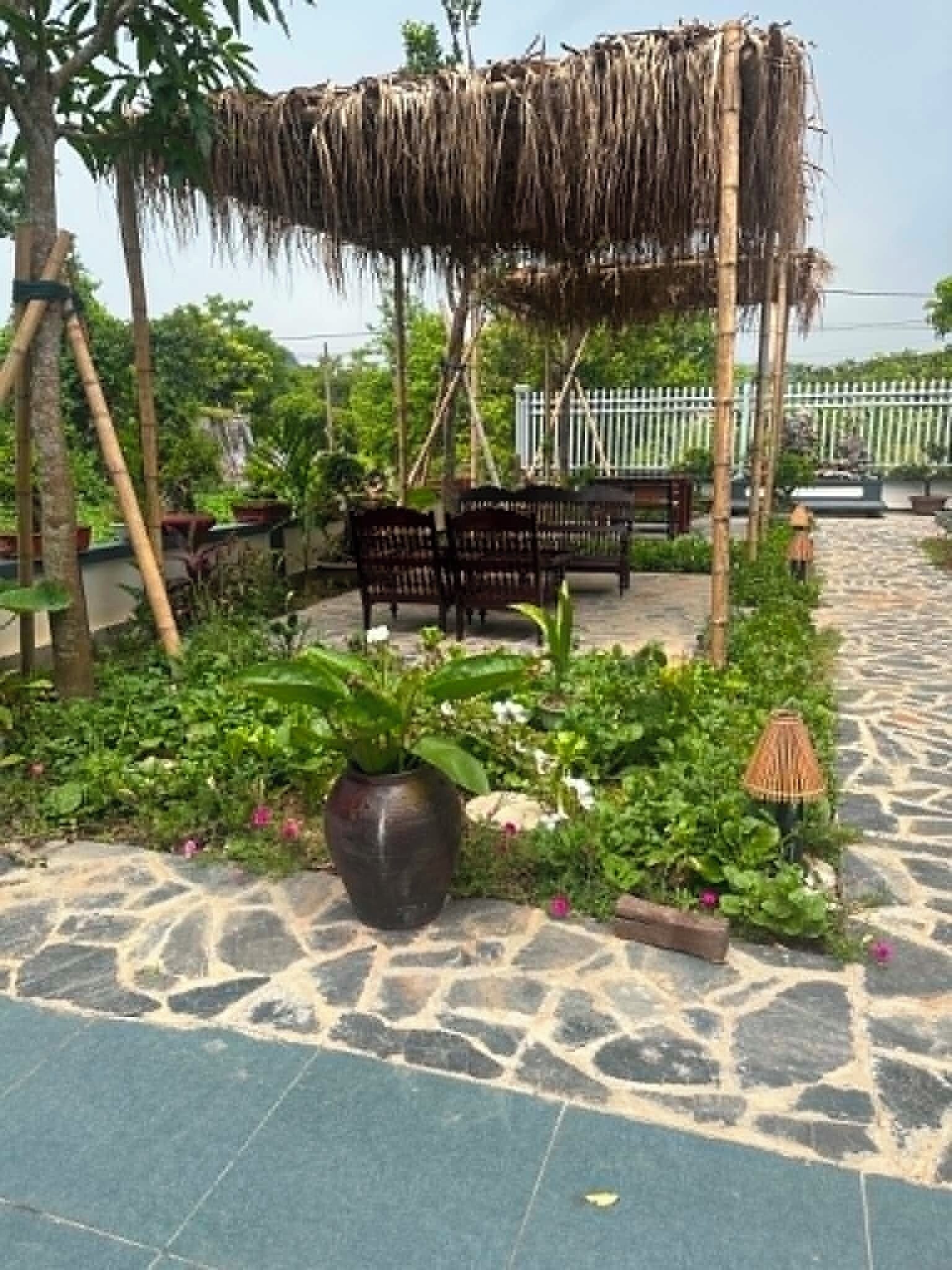 A garden area with a thatched structure, stone flooring, and potted plants.