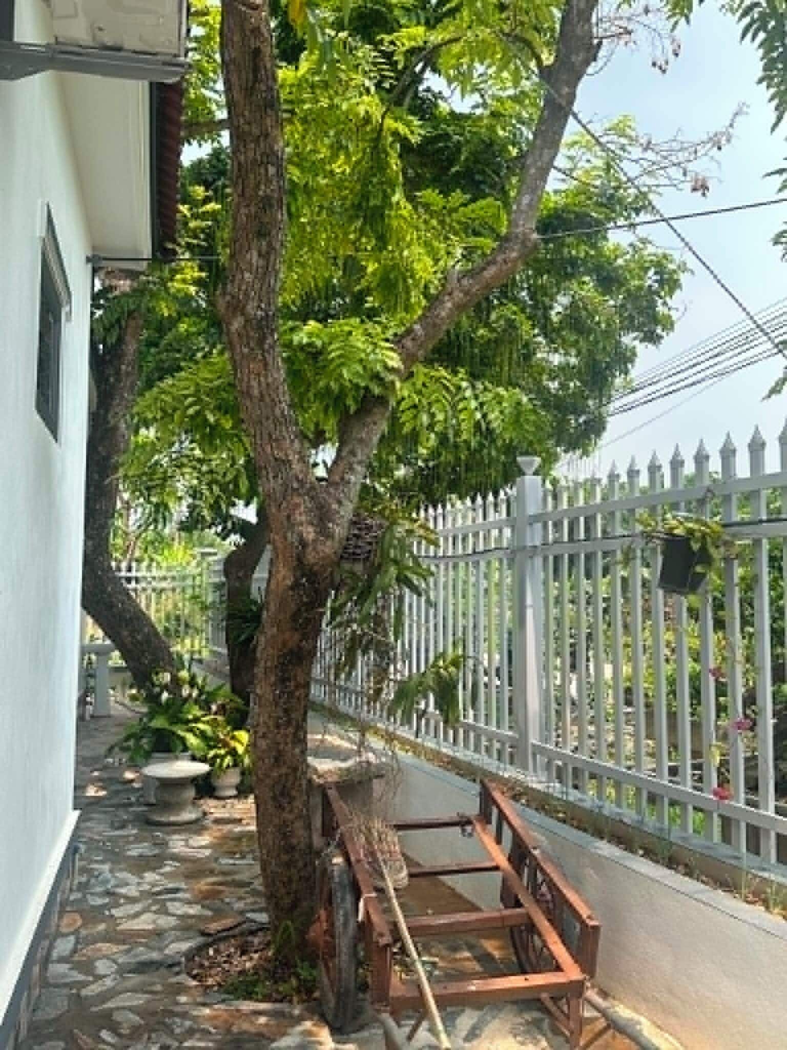 Khuôn viên nơi lưu trú