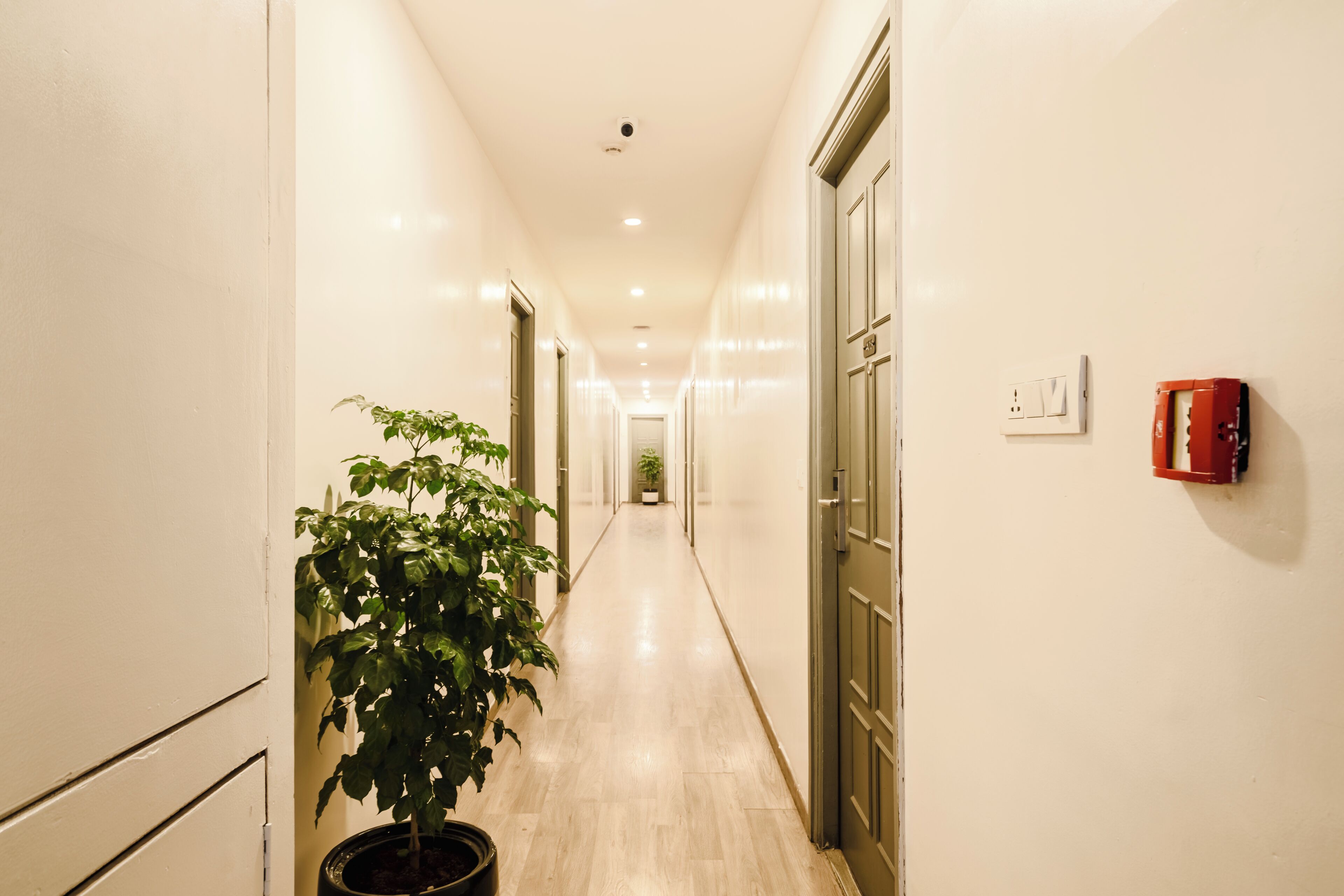 A hallway with a potted plant, a fire alarm, and a door at the end.