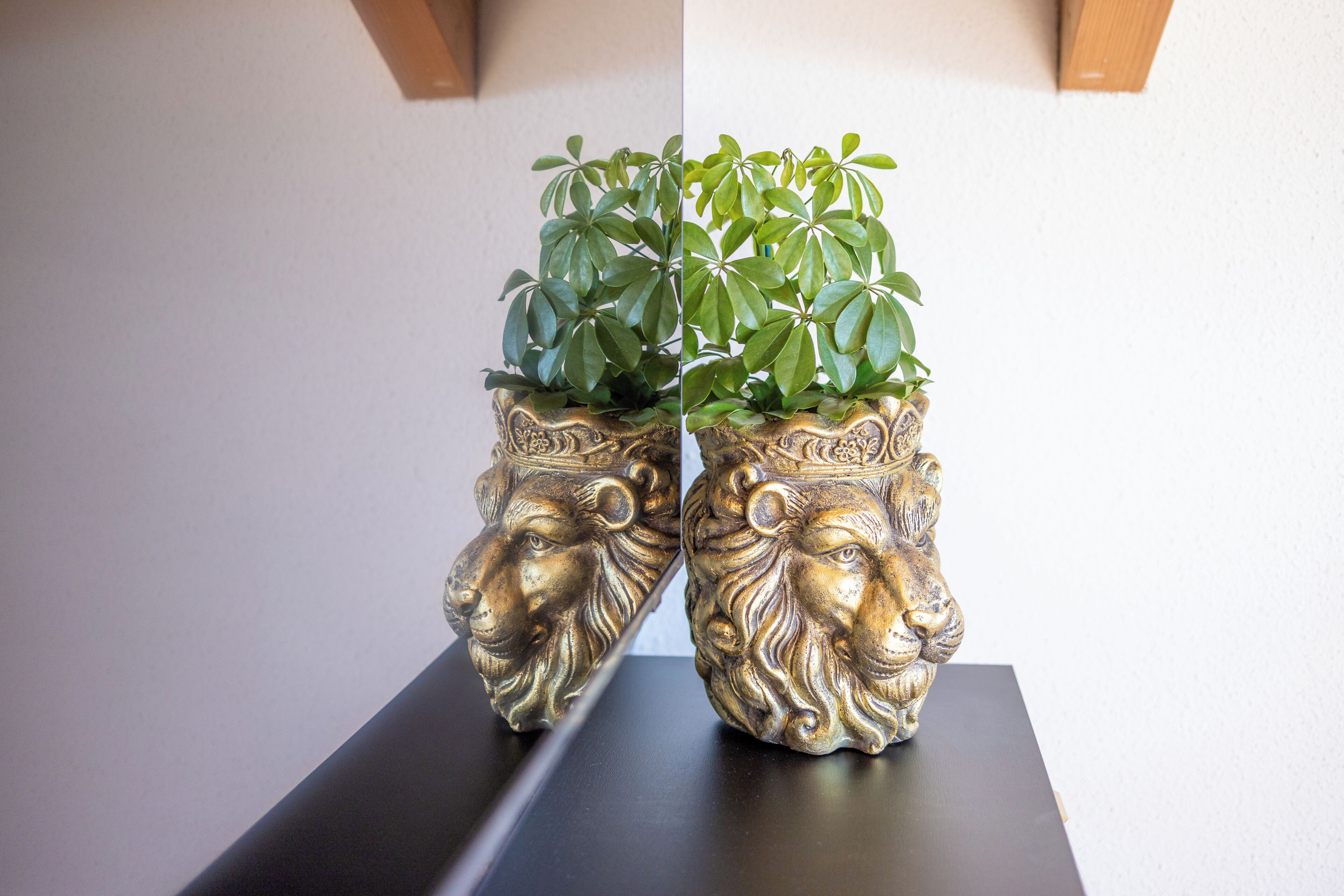 Twee sierlijke vazen met plantenpotten op een donker oppervlak.
