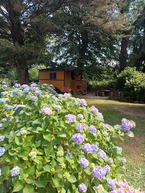 Property grounds - Bohemian Getaway: A Caravan in the Heart of the Breton Countryside. 15 minutes from Dinan. (VILDE GUINGALAN)