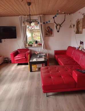 Fernseher, DVD-Player
