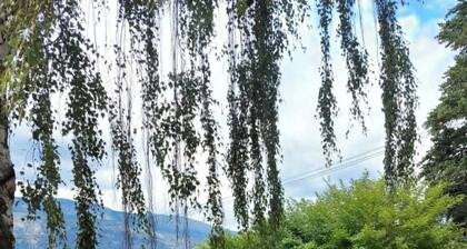 Pixie Bay Cottage - Peaceful Semi-Lakeshore Retreat Near Wineries & Beaches