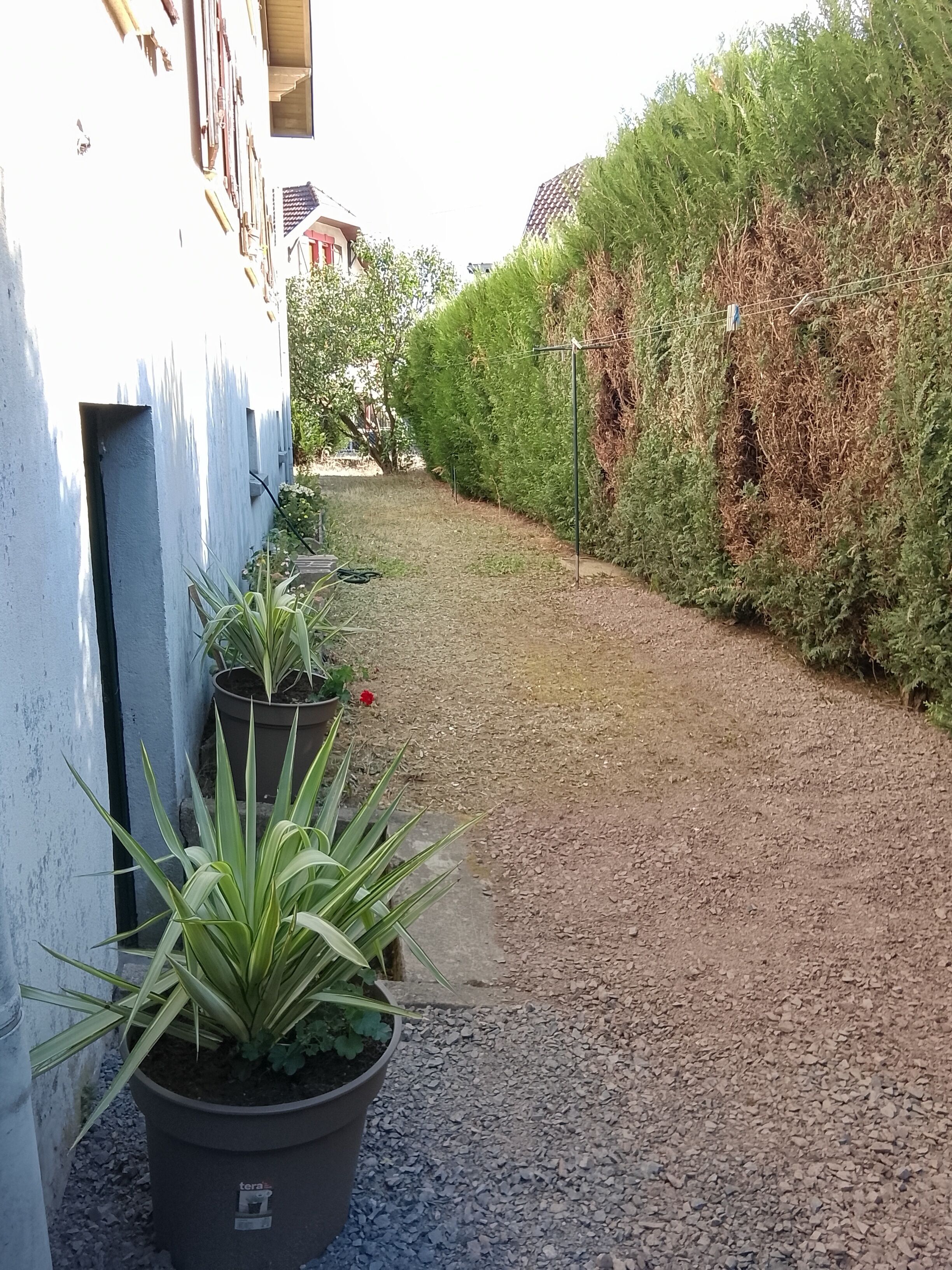 Terrein van de accommodatie