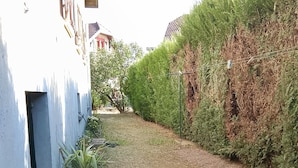 A pathway leading to a building with a white exterior, potted plants, and a hedge on one side.