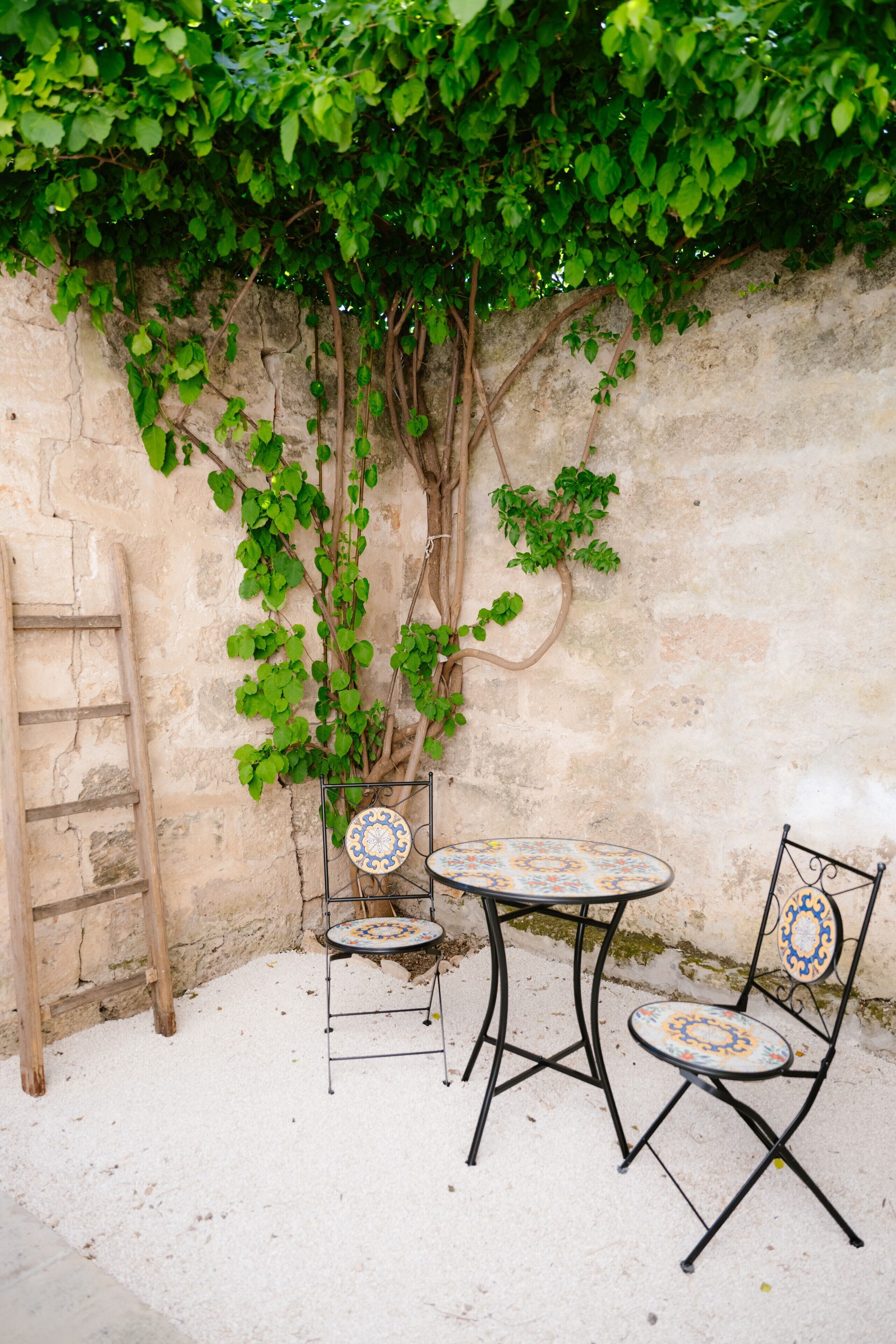 A small outdoor seating area with a table and two chairs, a wooden ladder, and a wall covered with climbing plants.