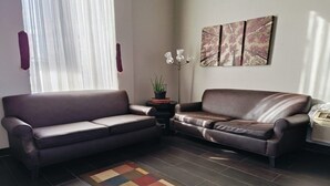 A living room with two brown leather sofas, a colorful rug, a potted plant, and a floor lamp.