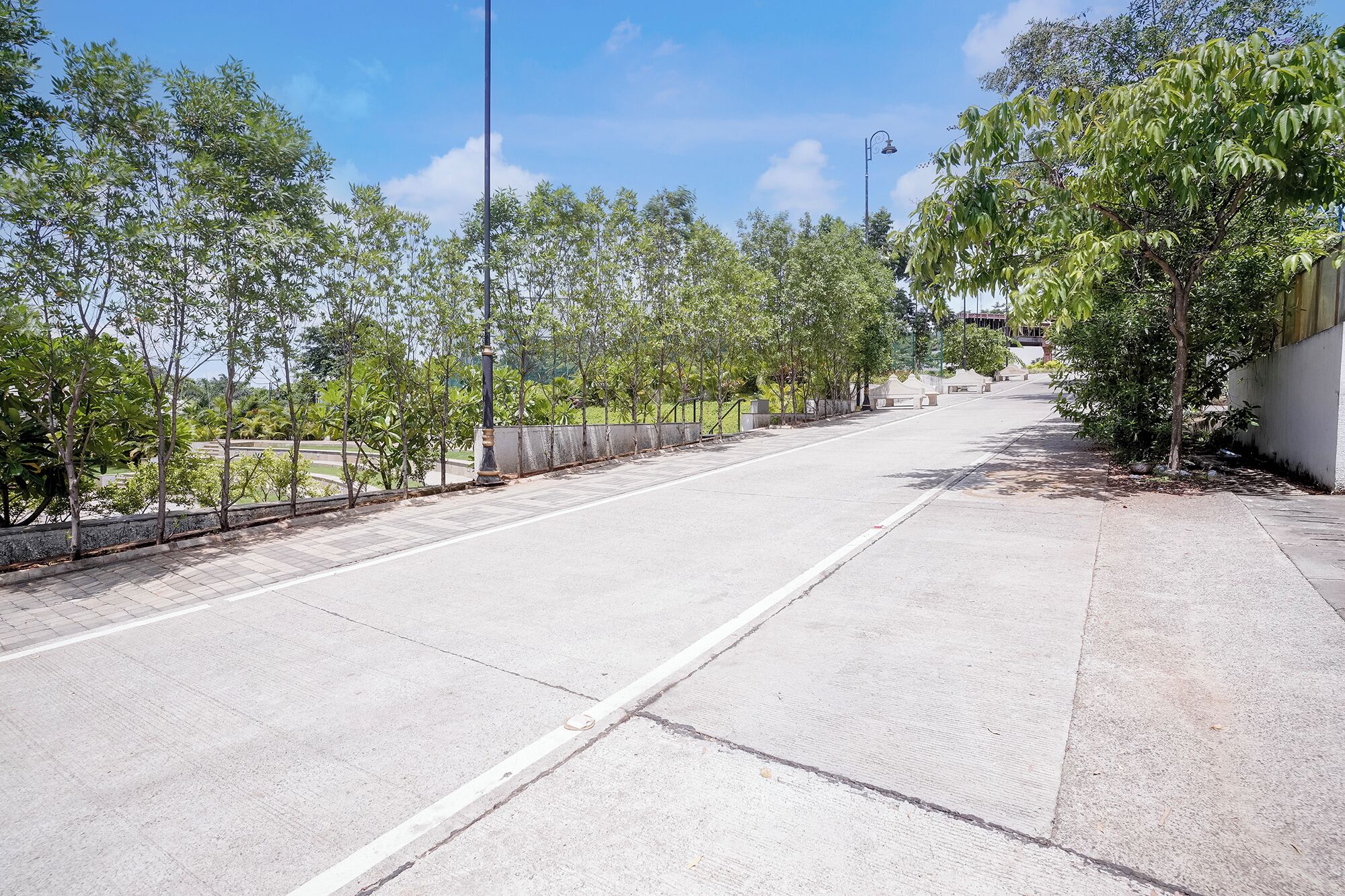 Un carrer ample i sense trànsit amb una vorera a un costat, flanquejat per arbres i fanals.