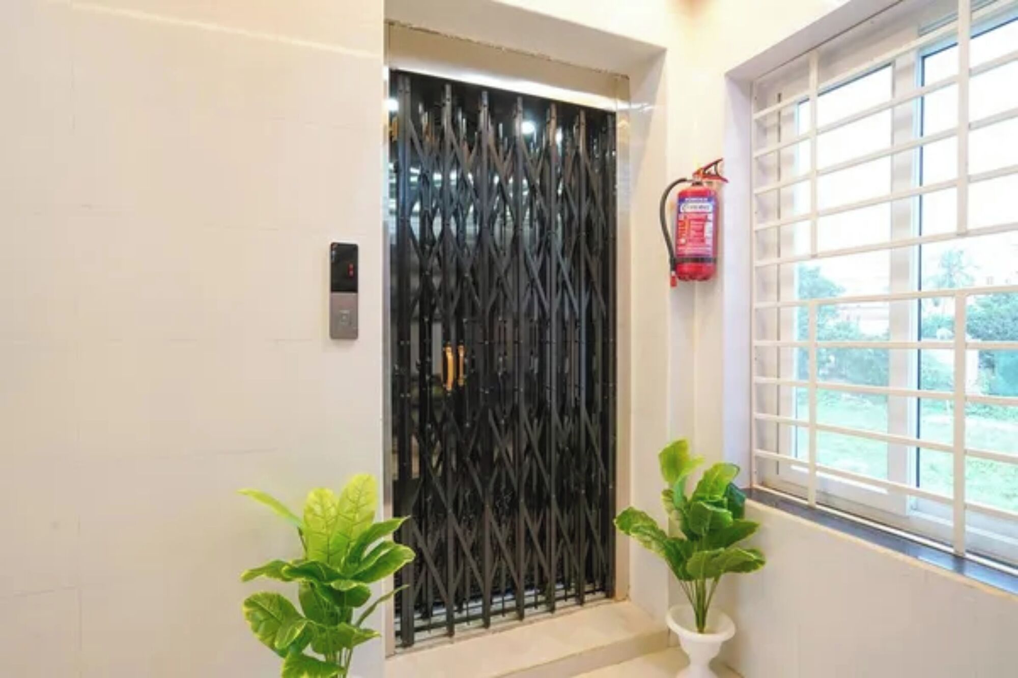A door with a black metal gate, a fire extinguisher mounted on the wall, and two potted plants.