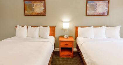 2 Queen Beds|Non-Smoking