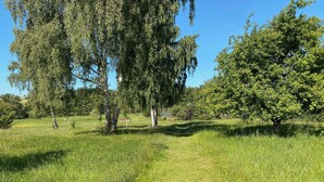En gräsklädd äng med träd och en klar himmel.
