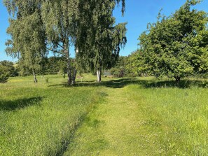 Un campo cubierto de hierba con árboles y un cielo despejado.
