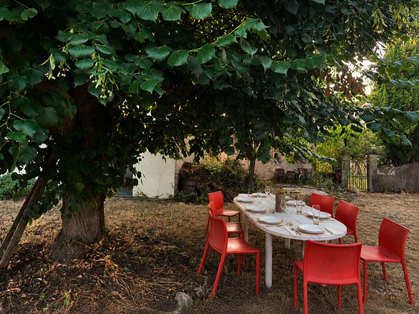 Un'area pranzo all'aperto con un tavolo imbandito per sei persone, circondato da sedie rosse, sotto un grande albero.