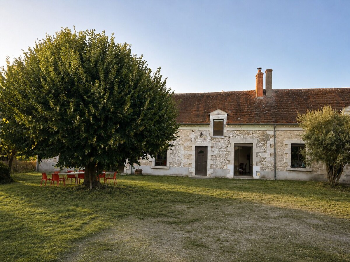 Image de profil de l’hôte