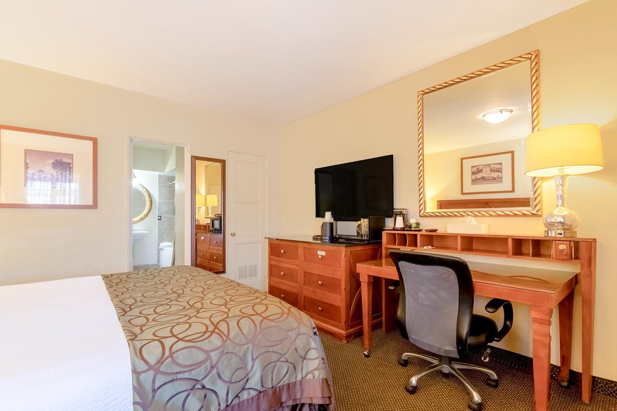 Una camera d'albergo con un letto, una scrivania, una sedia, televisione e uno specchio.