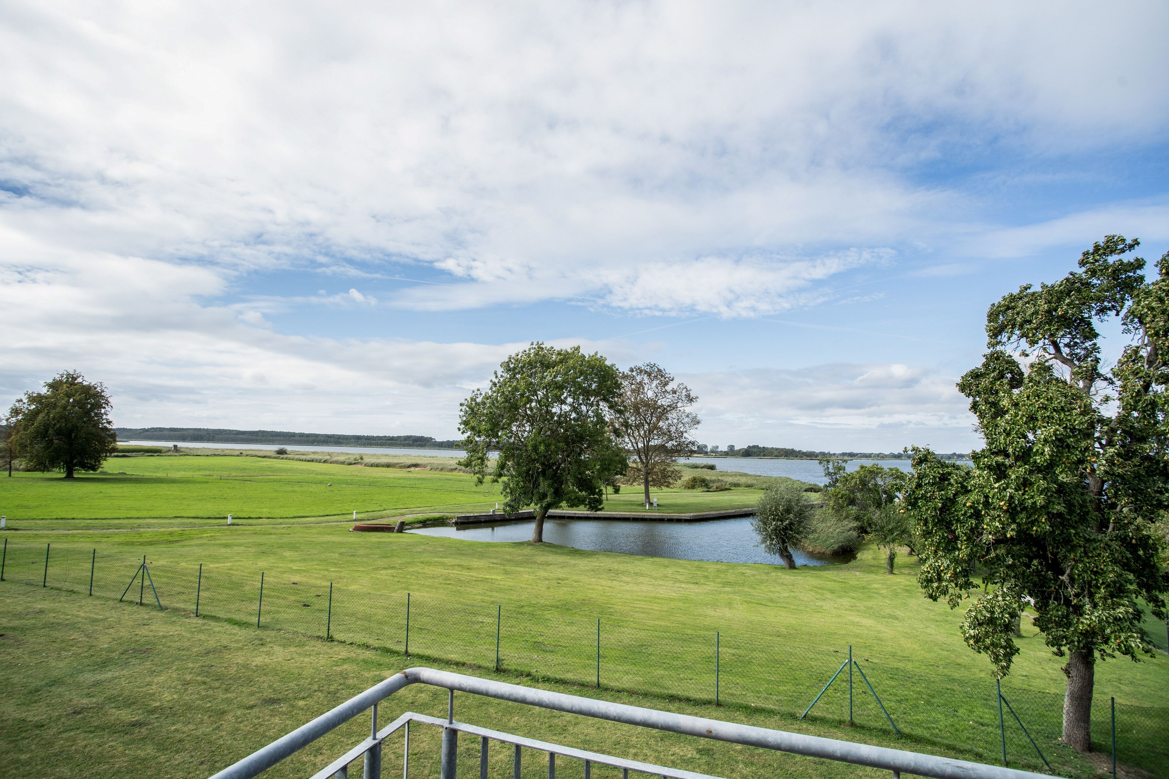 Eine grüne Wiese mit Wasser, Bäumen und einem Zaun.
