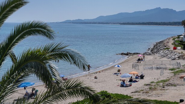 Une plage bordée de palmiers, un ciel dégagé et des montagnes en arrière-plan.