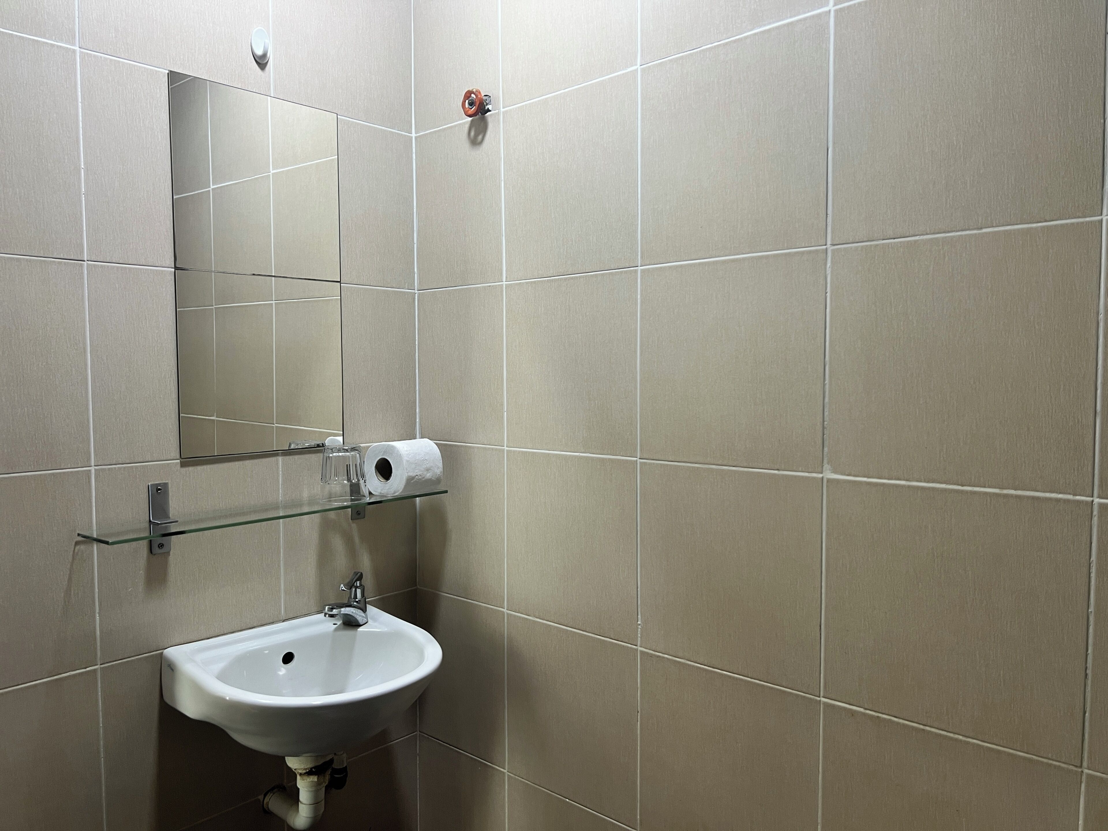 Ein Badezimmer mit Waschbecken, Spiegel und Toilettenpapier auf einem Regal.