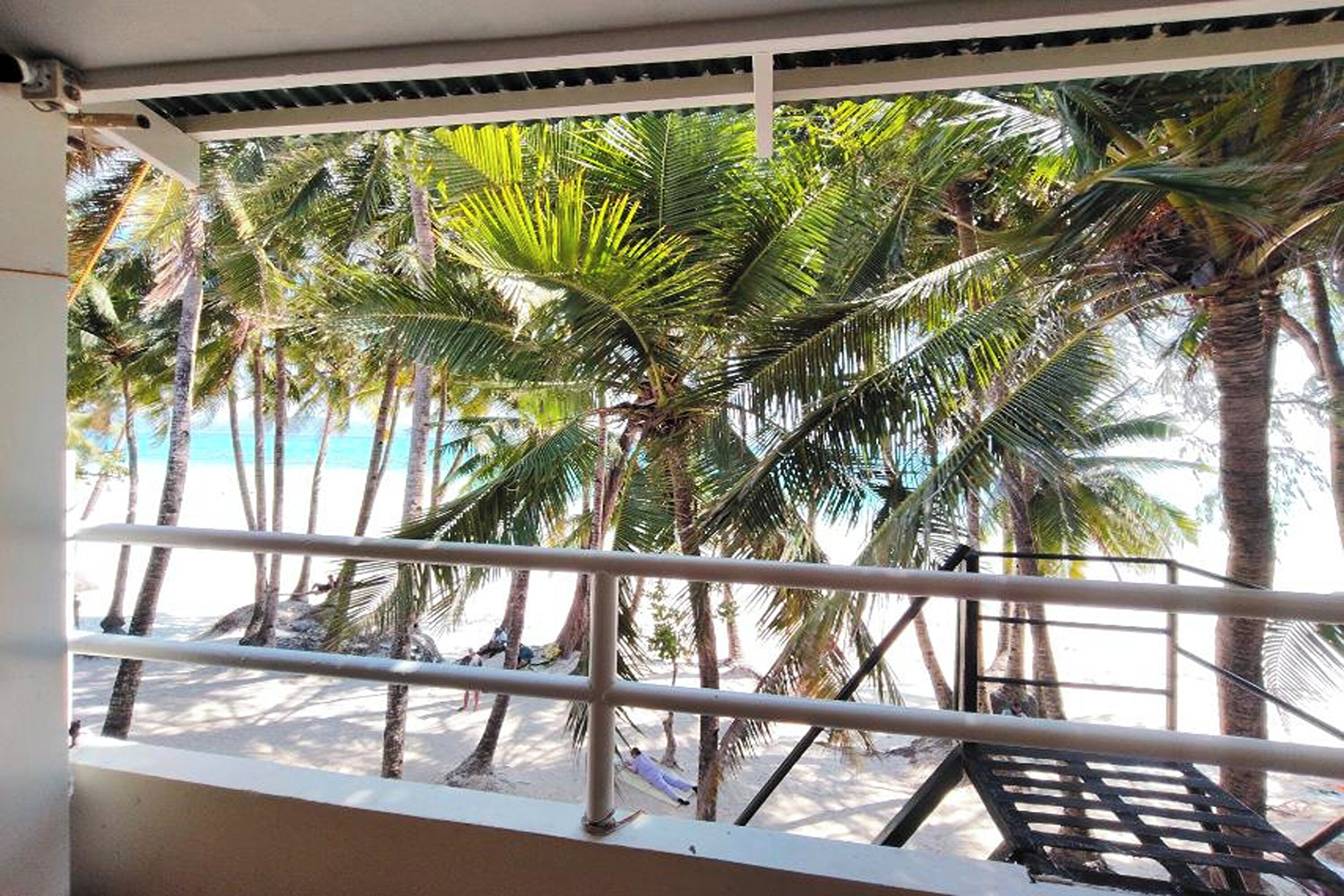 A balcony with a view of a beach and palm trees.