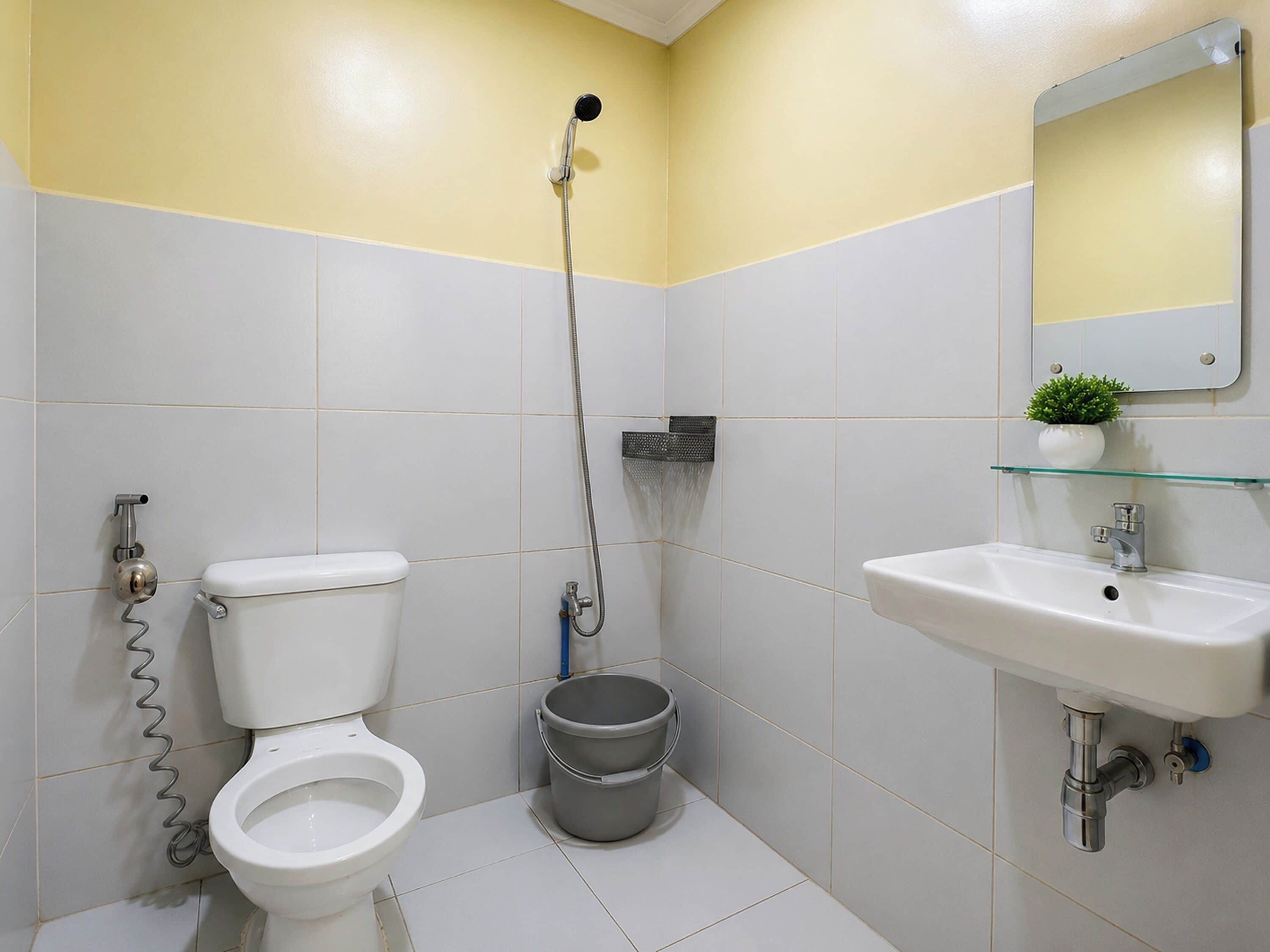 A bathroom with a toilet, a shower, a sink, and a small potted plant on the mirror.