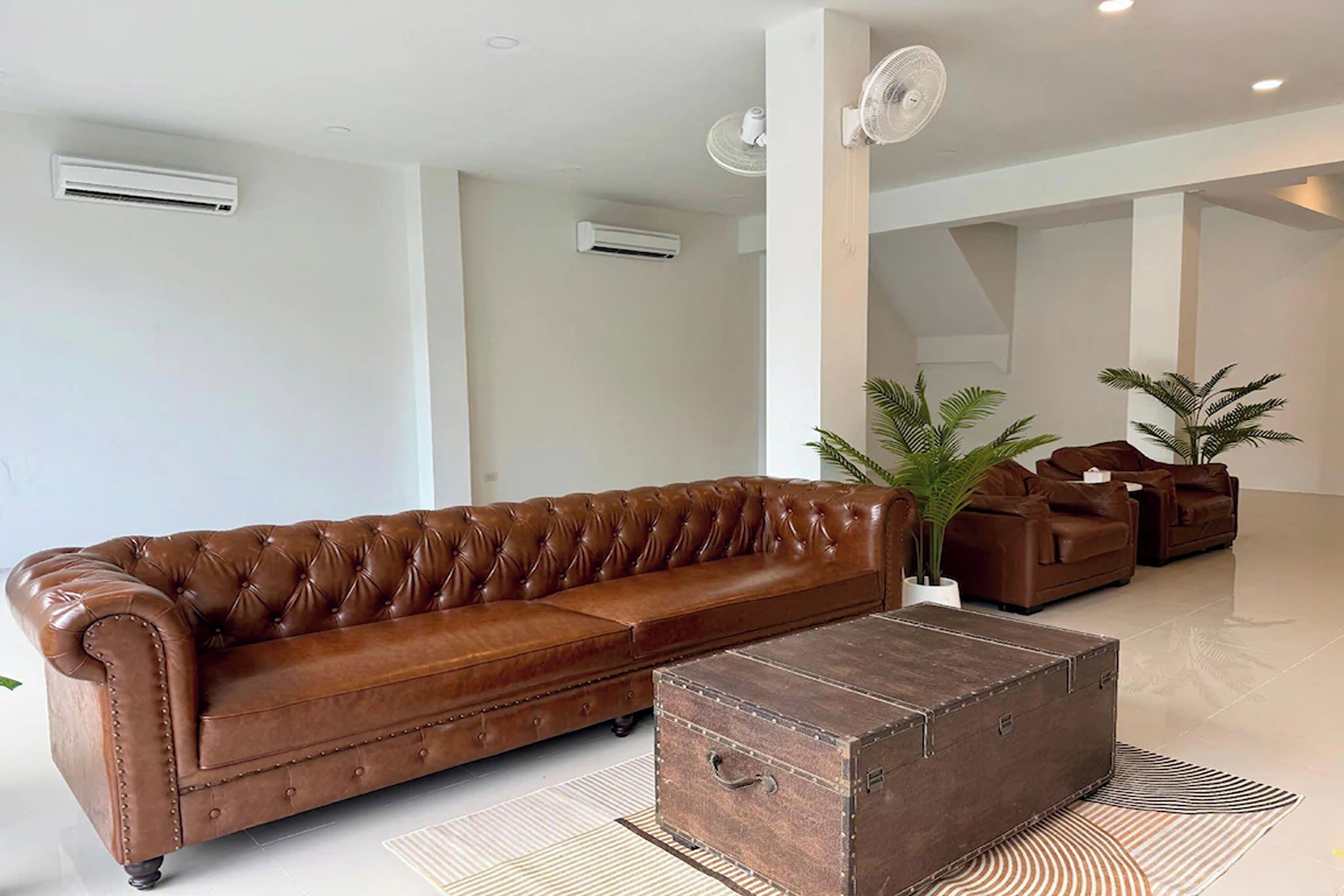 Un sofá de cuero marrón, un cofre de madera y dos plantas en macetas en una habitación moderna, bien iluminada, con paredes y ventiladores de techo blancos.