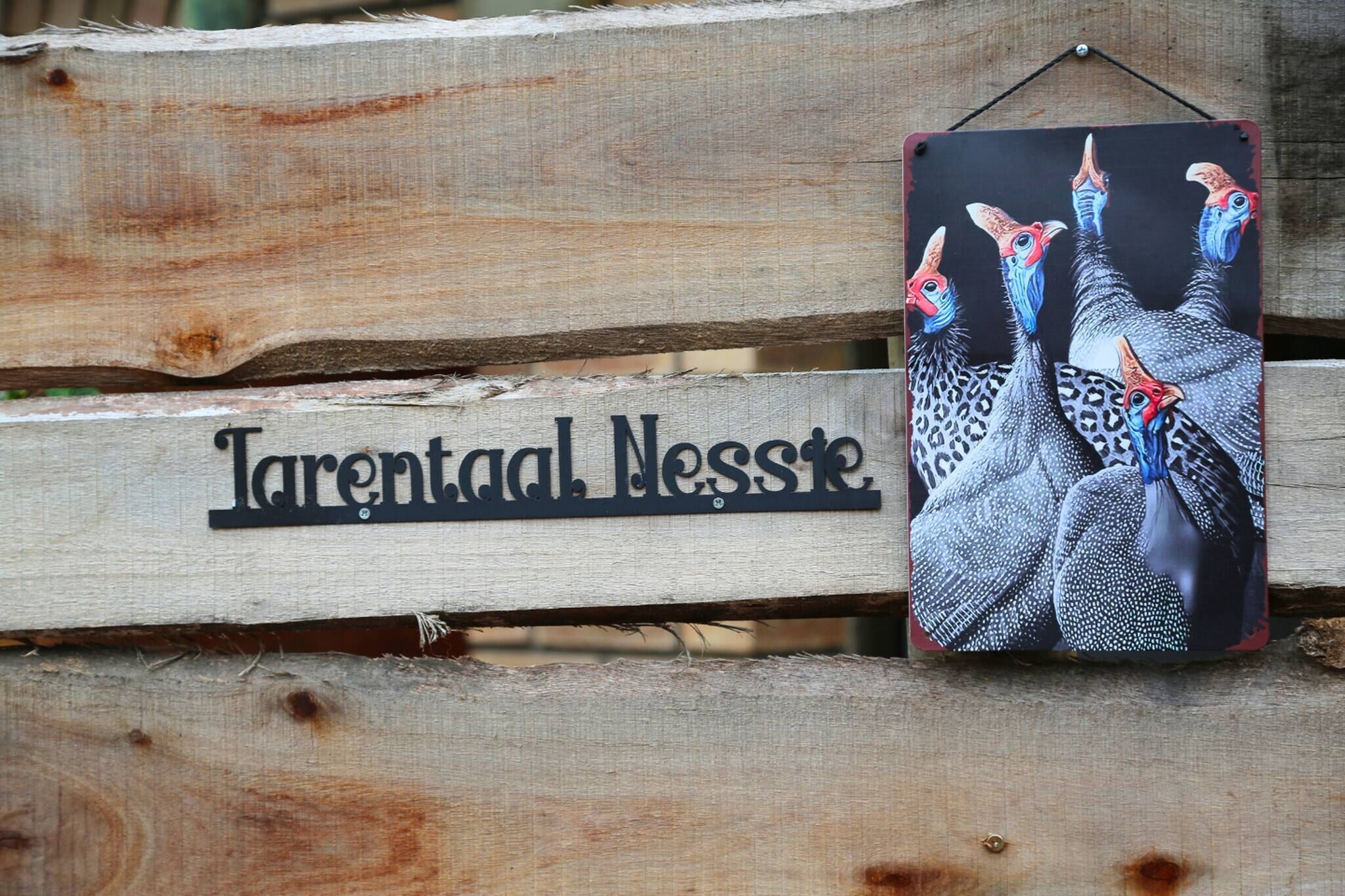 A wooden sign with the text 'Tarentad Ness' and a colorful artwork of birds.