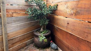 A wooden fence, a potted plant, and a bird. - Serene 1-bedroom Apartment in Plettenberg Bay - Guinea's Nest (Plettenberg Bay)