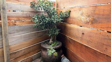 Apartment, 1 Bedroom, Accessible | Property grounds