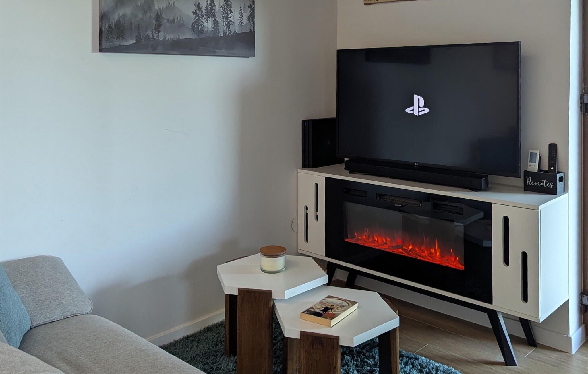 Fernseher