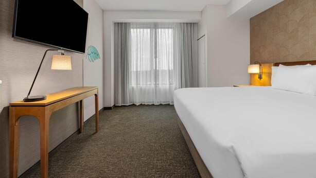 A hotel room with a bed, a desk with a lamp, a TV mounted on the wall, and a window with sheer curtains. - Drury Plaza Hotel Daytona Speedway (Daytona Beach)