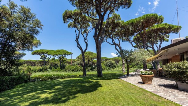 Un jardí ben cuidat amb gespa, arbres grans i una zona de pati amb mobles d'exterior.
