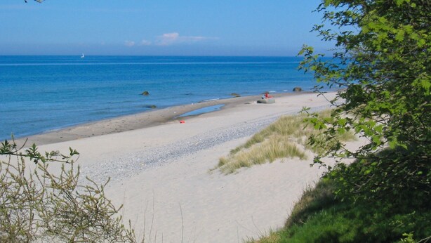 Une plage avec une eau d’un bleu limpide, un rivage sablonneux et quelques zones verdoyantes.