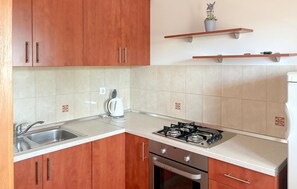 Coffee/tea maker, fridge, oven, stovetop - Cozy apartment in Kustici with WiFi (Kustici)