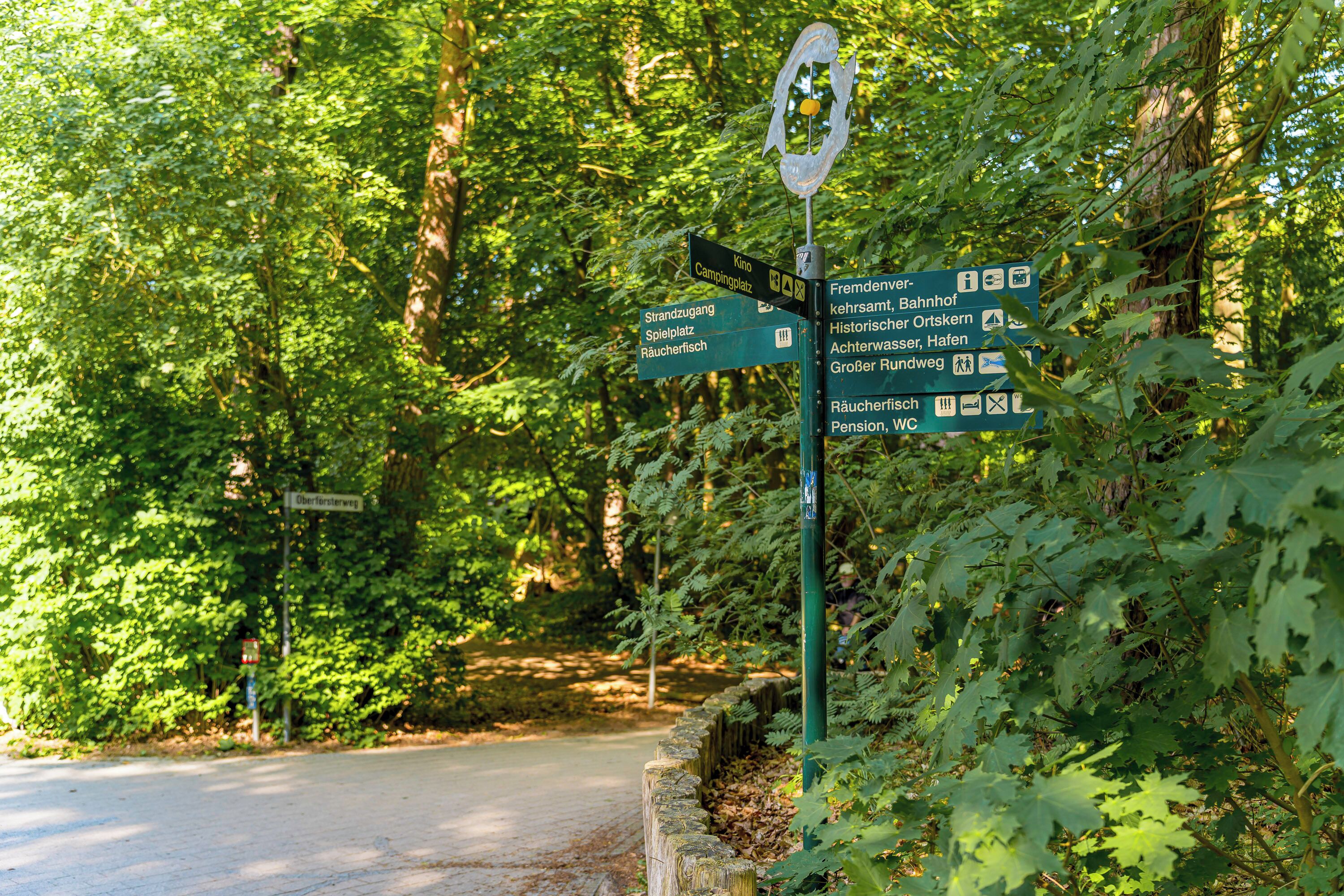 Ein Wegweiser in bewaldeter Landschaft mit mehreren Pfeilen, die verschiedene Ziele anzeigen.