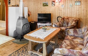 Smart-TV, Kamin