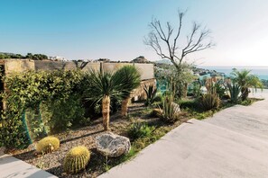 Ein angelegter Garten mit Kakteen, einer Palme und ungehinderter Meerblick.