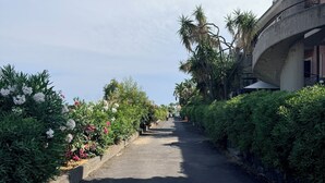 Een pad omzoomd met groen en bloemen, dat leidt naar een gebouw met een gebogen betonnen constructie.