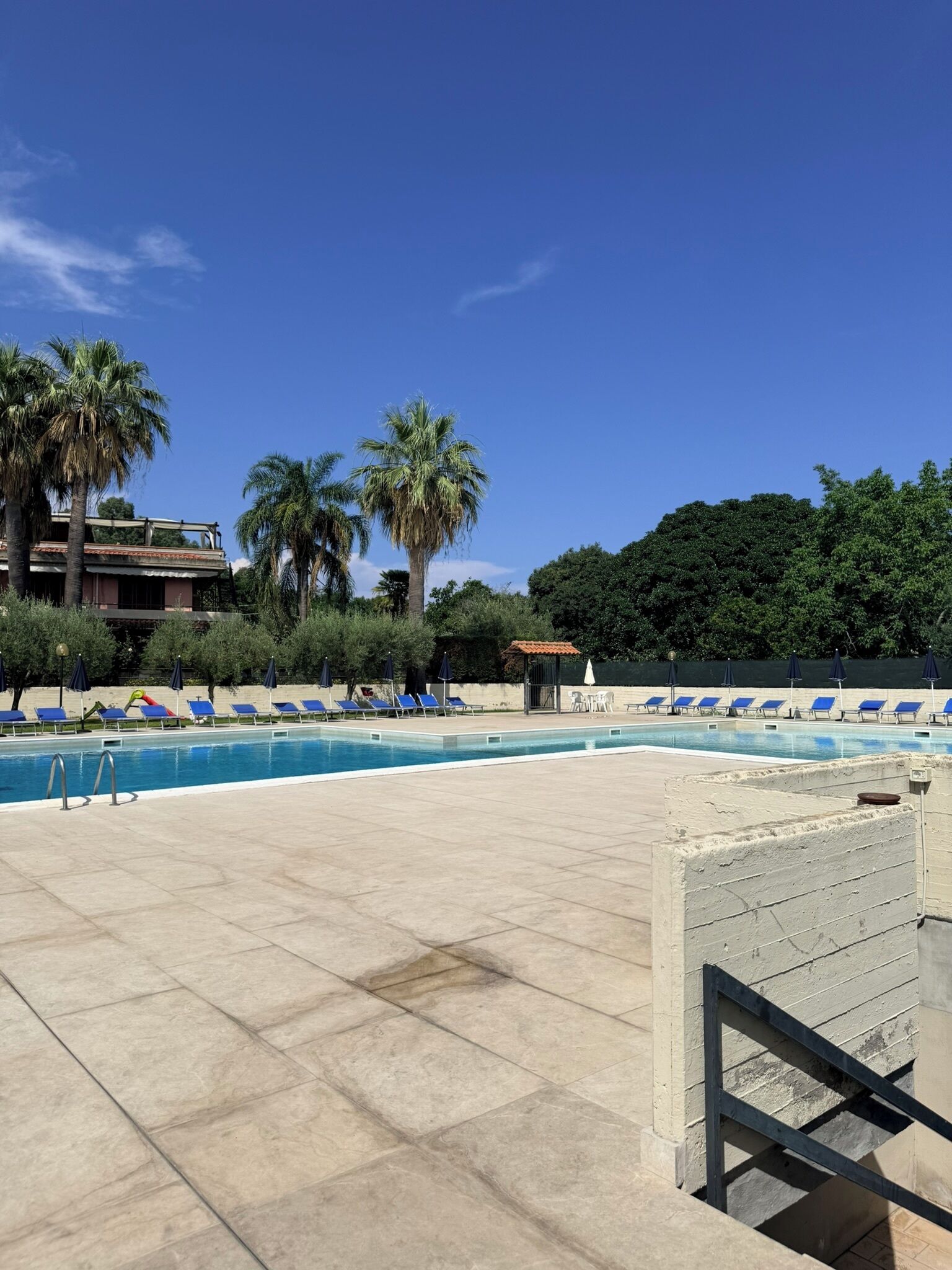 A swimming pool with lounge chairs and palm trees.