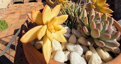Espai Abadia · A charming country house between the Priorat and the Costa Daurada
