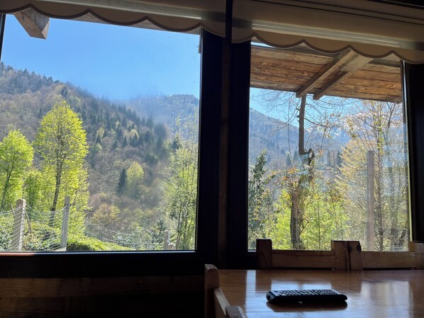Una habitación con un ventanal grande con vistas a una zona montañosa boscosa.