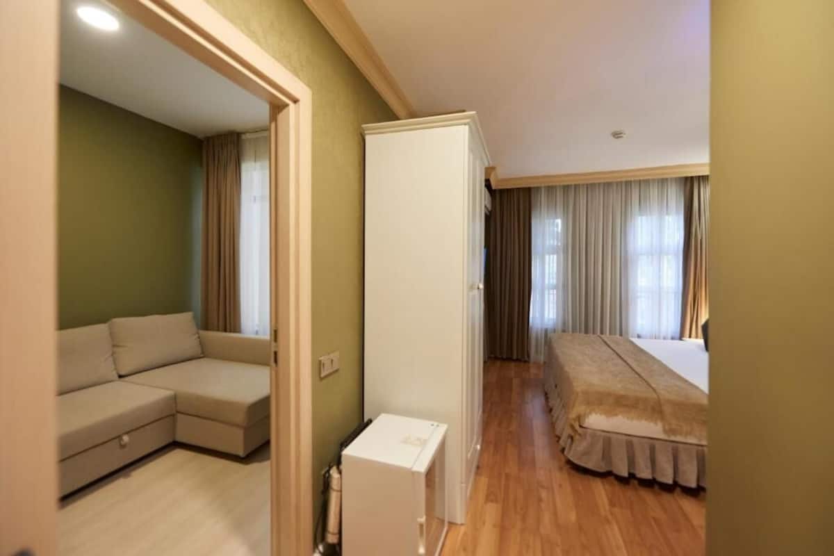 A room with a sofa, a bed, a wardrobe, and a small table.